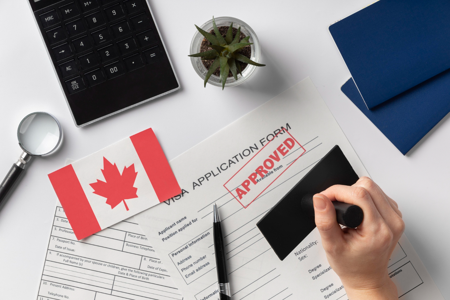 Business immigration program